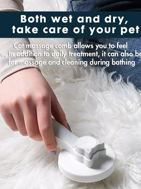 Self-Cleaning Slicker Brush