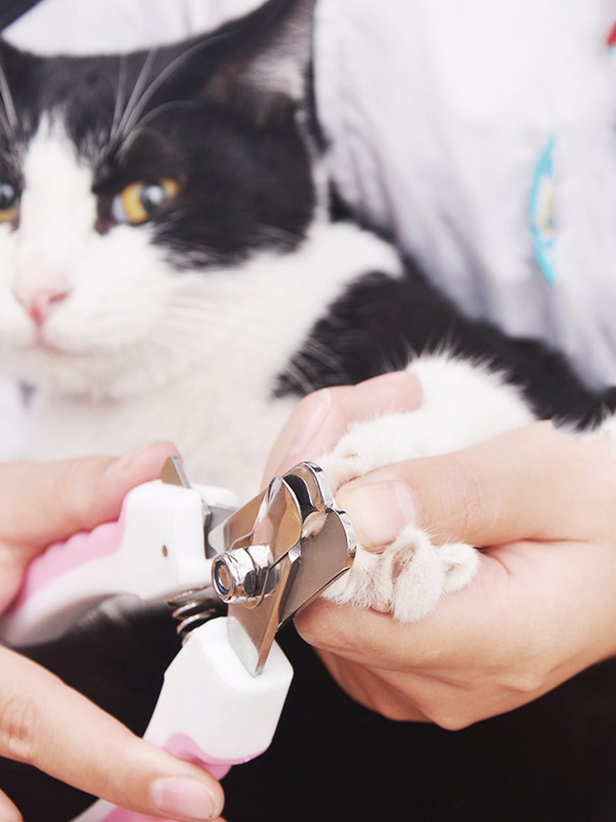 Pet Nail Clippers for Cats and Dogs