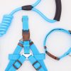 Comfort Dog Harness & Leash Set