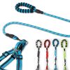 Simple Everyday Dog Leash Set
