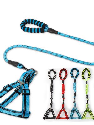 Simple Everyday Dog Leash Set