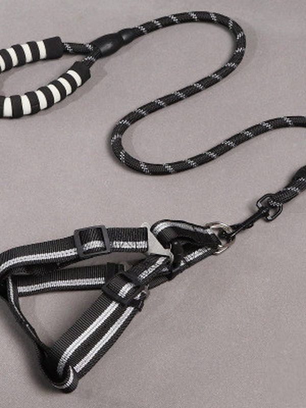 Simple Everyday Dog Leash Set