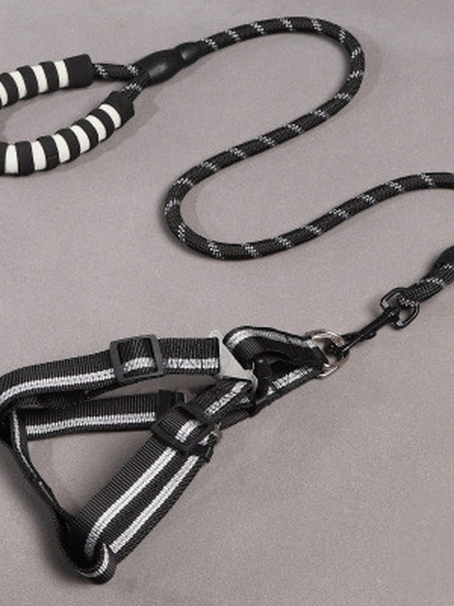 Simple Everyday Dog Leash Set