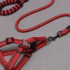 Simple Everyday Dog Leash Set