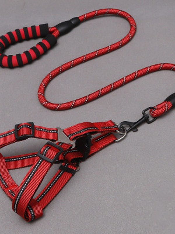 Simple Everyday Dog Leash Set