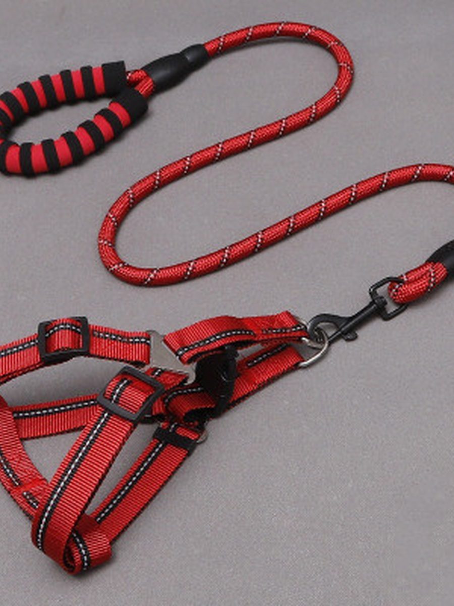 Simple Everyday Dog Leash Set