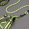 Simple Everyday Dog Leash Set