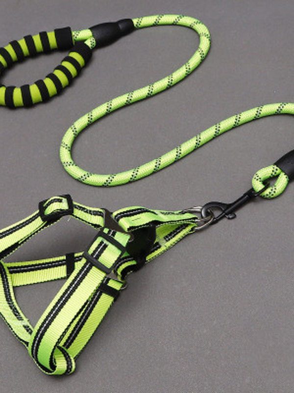 Simple Everyday Dog Leash Set