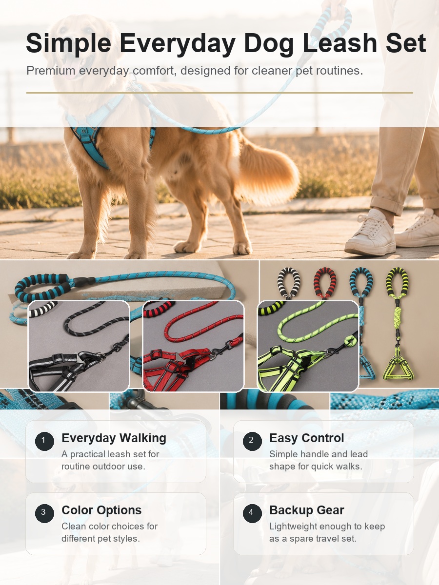 Simple Everyday Dog Leash Set rich product detail